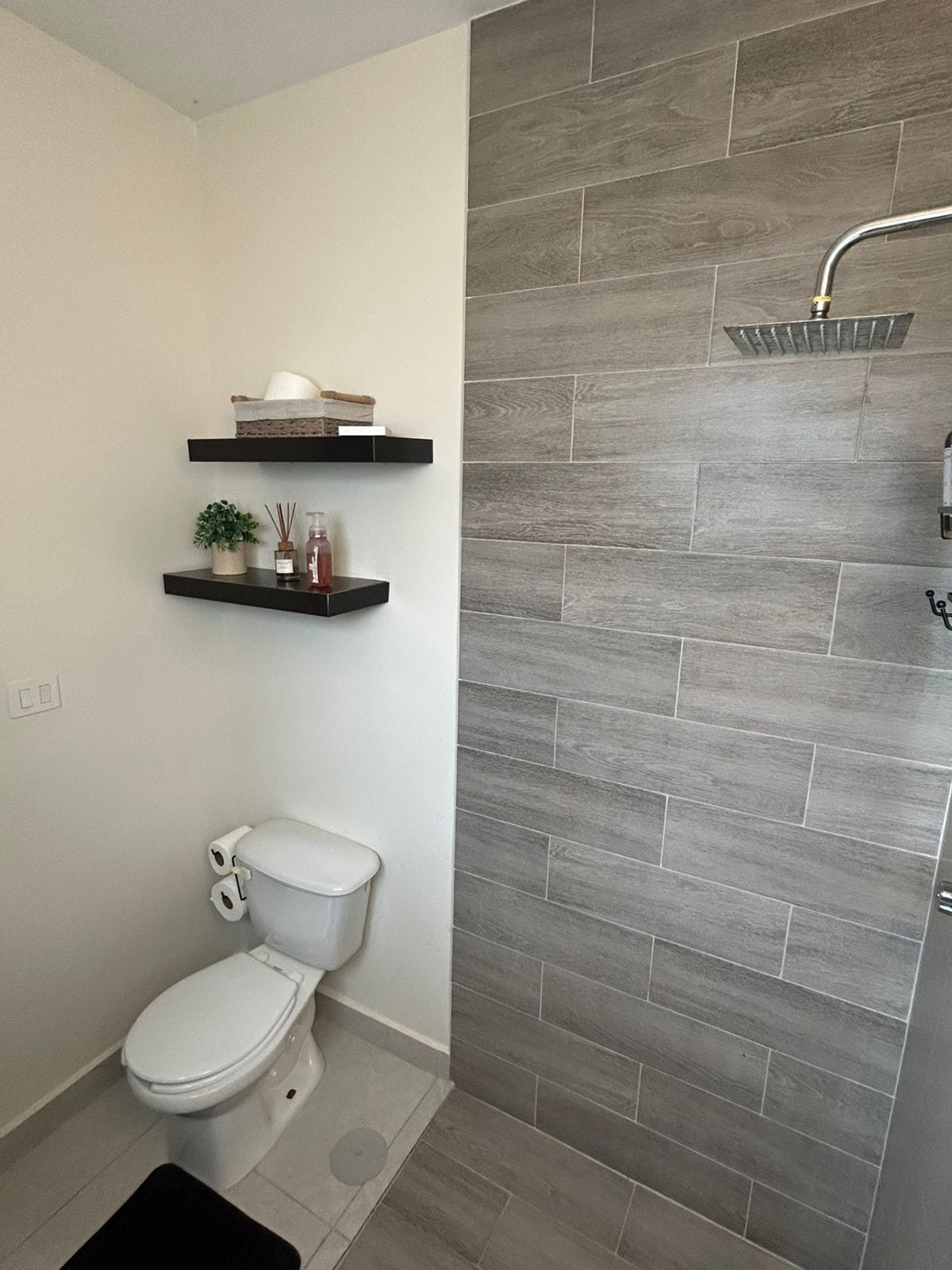 Hair dryer, towels, soap, toilet paper