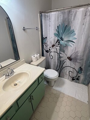 Hair dryer, bidet, towels, soap - Walk to Shoppes of Kildaire & Close to Bond Park! (Cary)