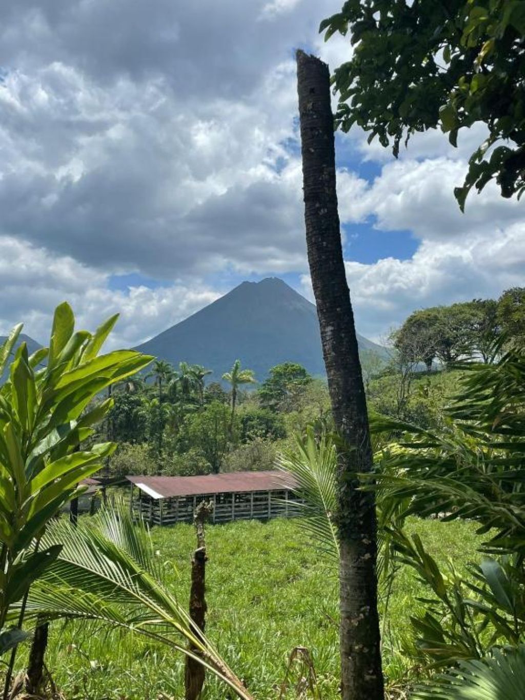 Parco della struttura