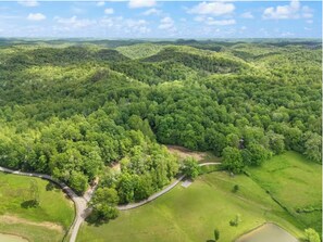 Eine Luftaufnahme einer bewaldeten Landschaft mit sanften Hügeln und einer kurvenreichen Straße.