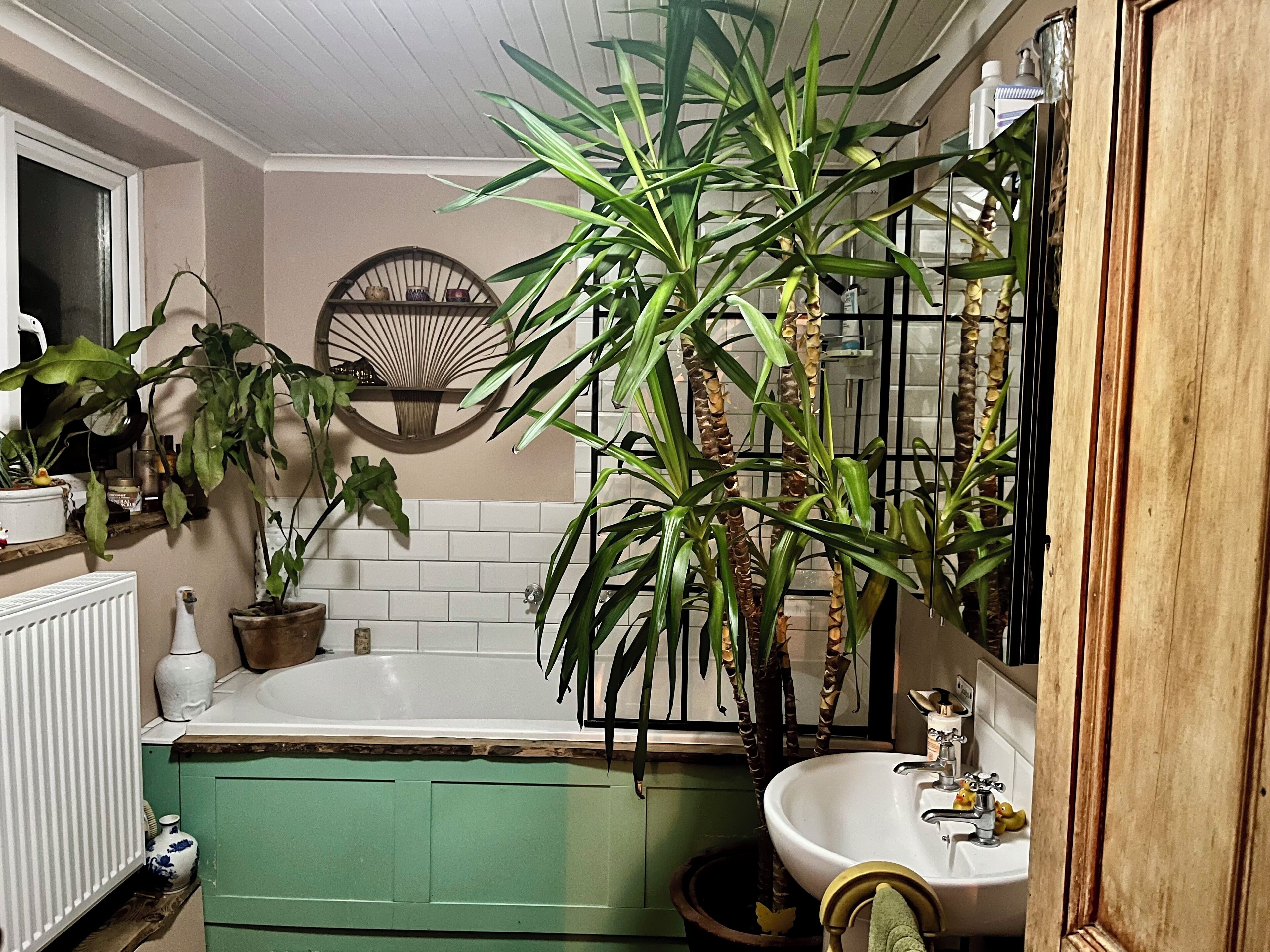 Towels, soap, toilet paper