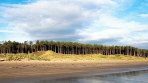 Ein Strand mit einem Wald im Hintergrund.
