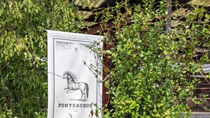 Un letrero con una ilustración de un caballo y el texto 'PONYSAUERUS', parcialmente cubierto por follaje.