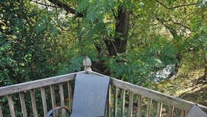 Eine Holzterrasse mit zwei Stühlen und einem kleinen Tisch, umgeben von üppiger Vegetation.
