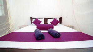 經濟雙人房, 山景