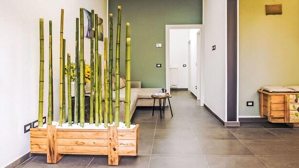 Um interior moderno com um arranjo de bambu, um sofá, uma mesinha e um armário de madeira.