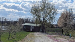 A rustic house with a gravel driveway, surrounded by trees and a field.