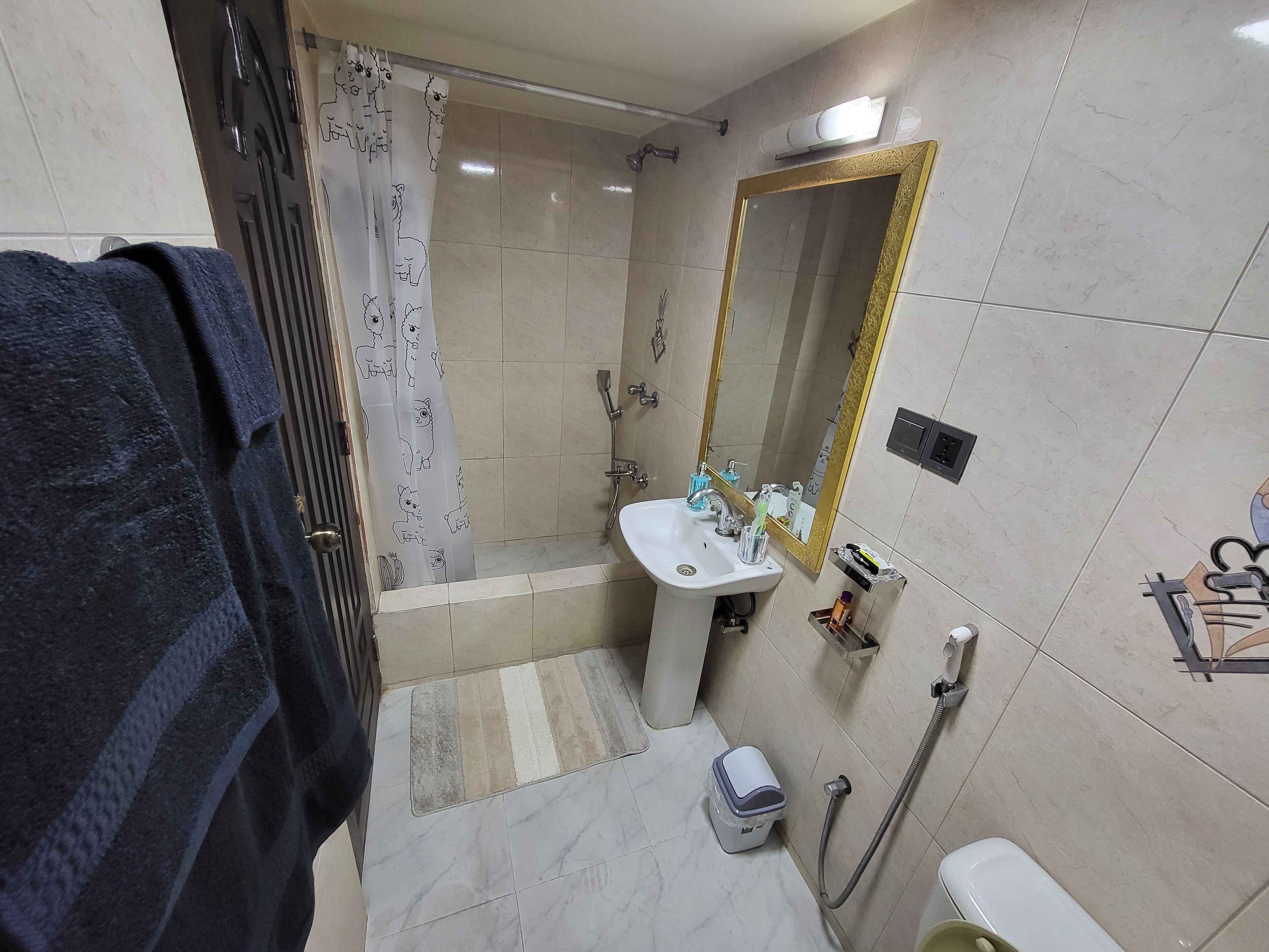Shower, towels, soap, toilet paper