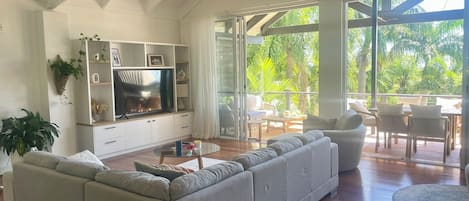 TV