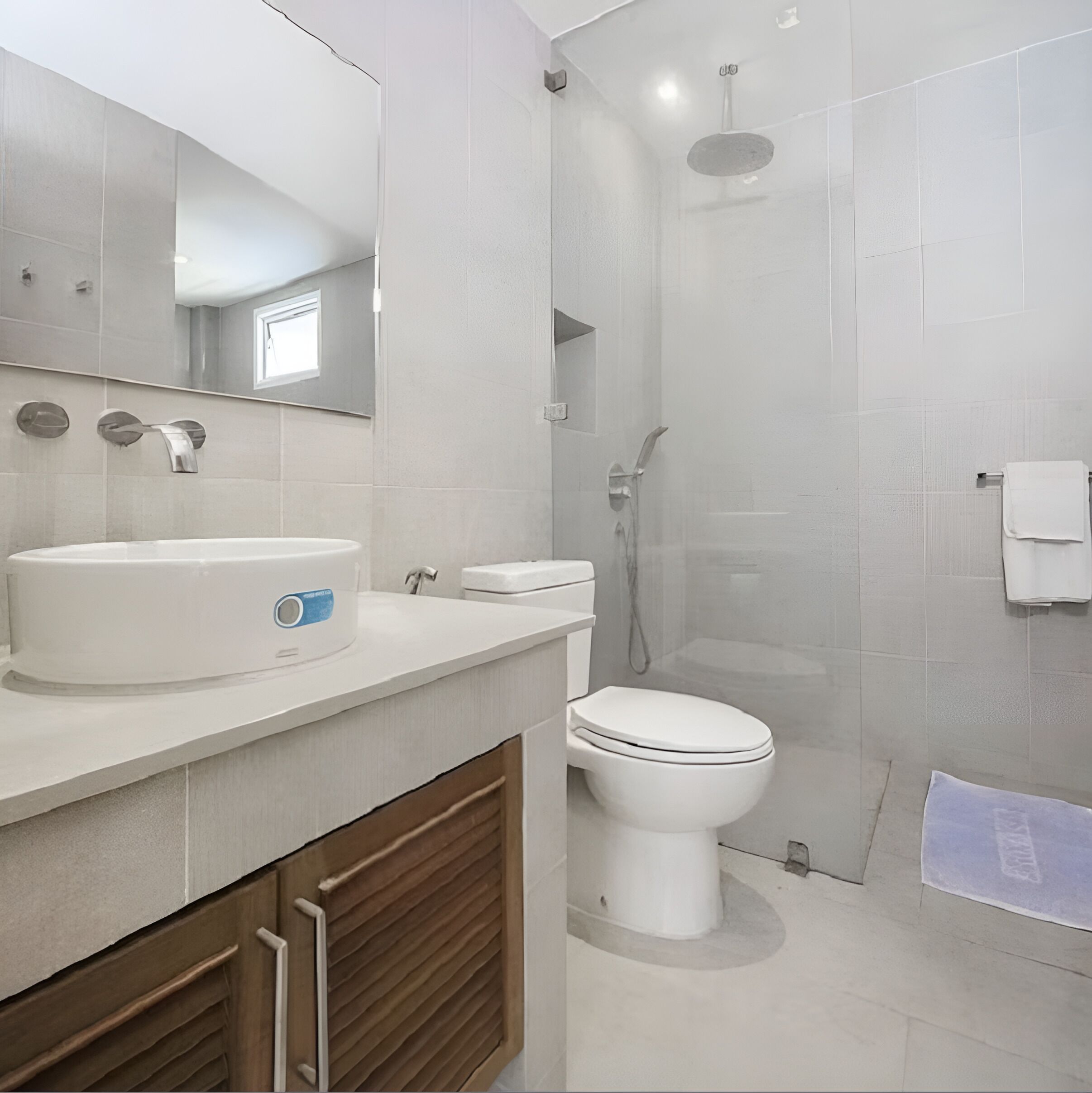 Ducha, secador de pelo, bidet, toallas