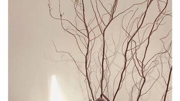 Classic Studio, Balcony, City View | Interior