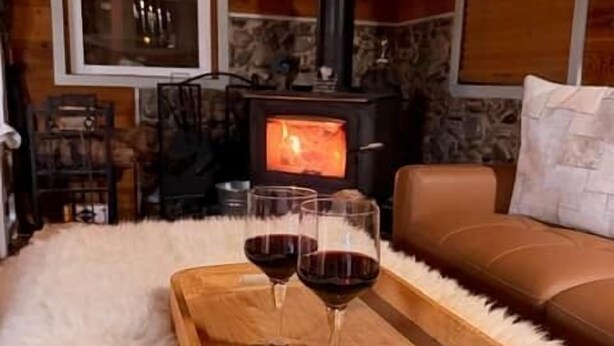 Une pièce chaleureuse avec une cheminée, un canapé en cuir et un plateau avec des verres de vin rouge.