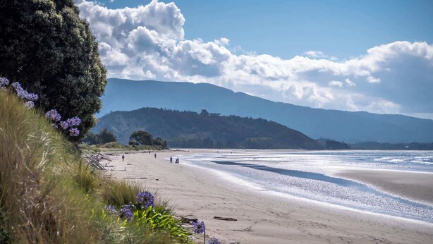 A beach with a clear sky, mountains in the background, and sparse vegetation. - Pohara's Beachside Bliss (Pōhara)