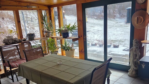Un interior de madera con una mesa de comedor, sillas, plantas en macetas y una estatua.