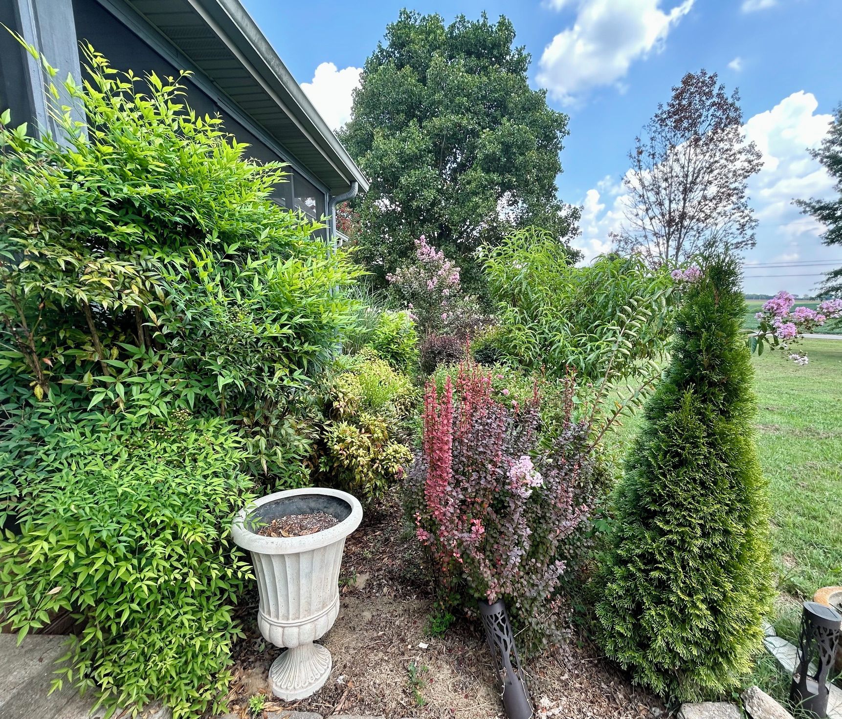 Un jardín con diversas plantas y una urna decorativa.