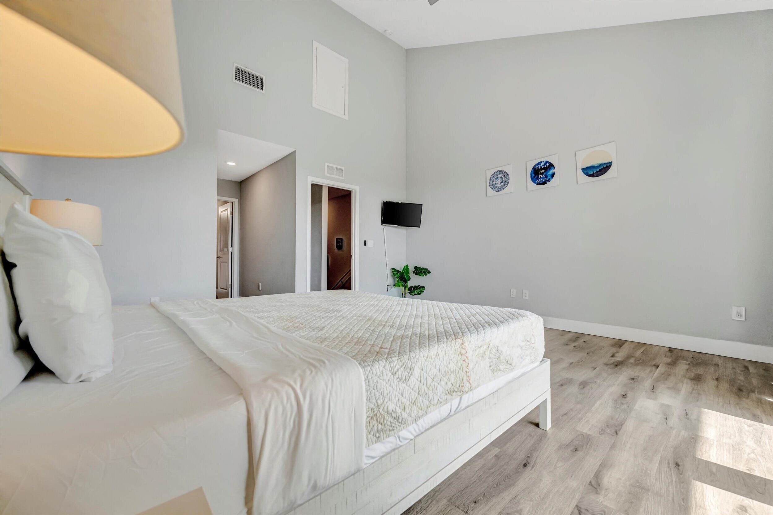 A bedroom with a bed, a lamp, a TV, and a plant.