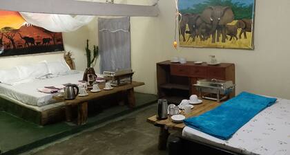 Jungle Lodge & Camping site