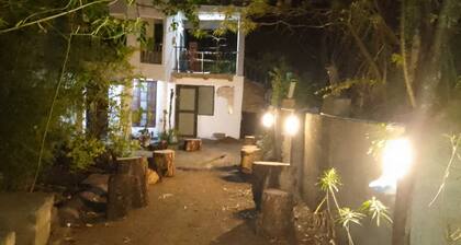 Jungle Lodge & Camping site