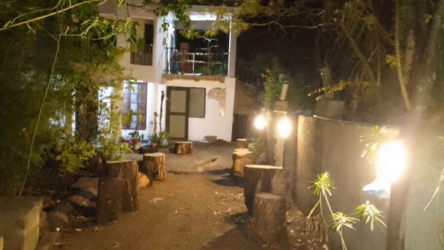 Jungle Lodge & Camping site