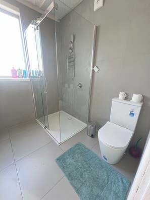 Shower, bidet, towels, soap