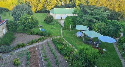 Studio with kitchenette and garden view