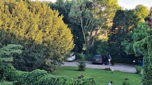 Zona residencial com calçada, carros estacionados e uma pessoa passeando com um cachorro.