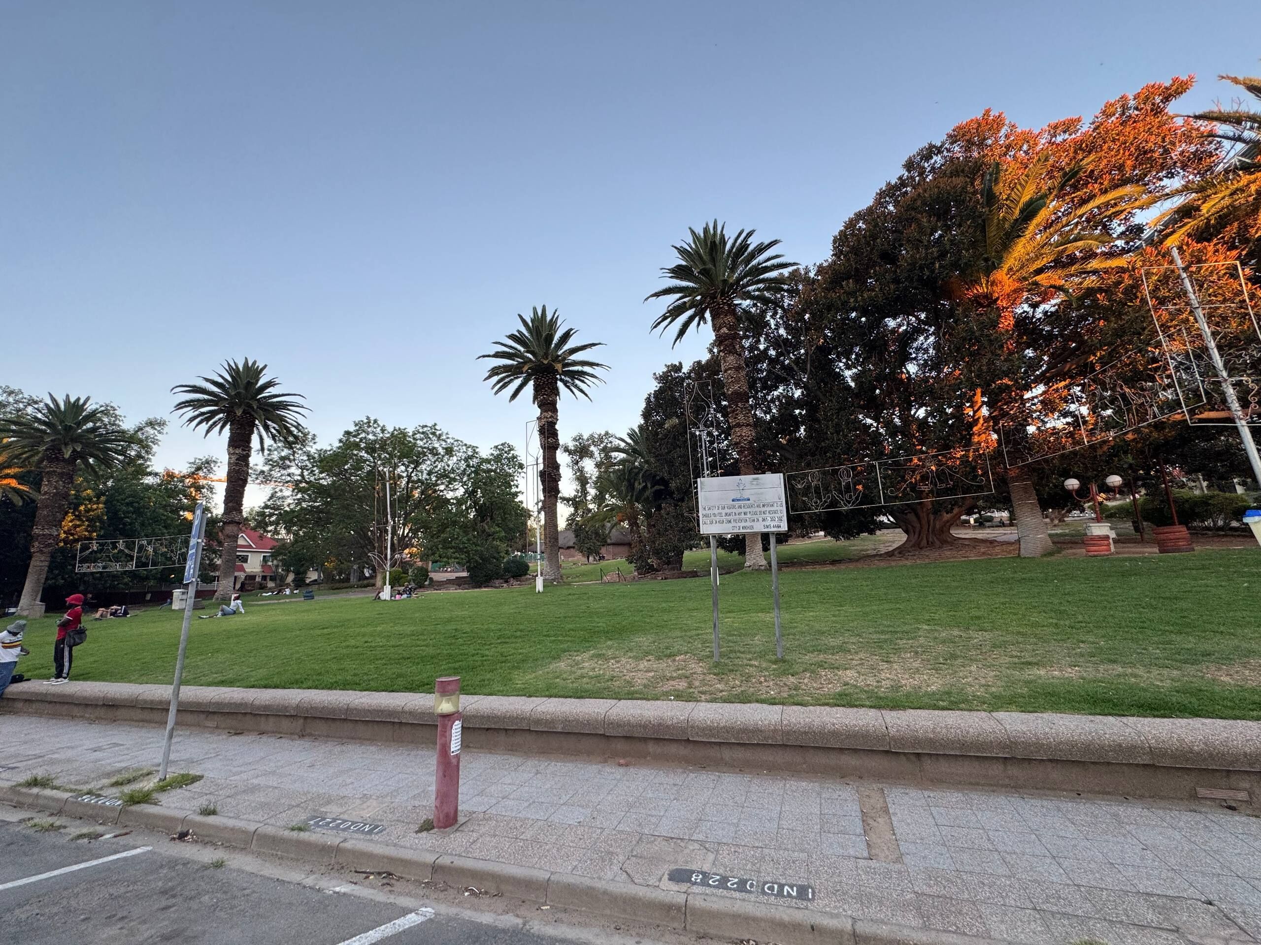 A park with grass, palm trees, and a sign.