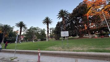 A park with grass, palm trees, and a sign.