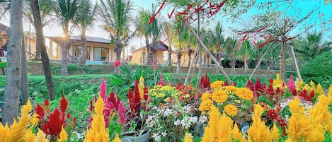 Vue sur le jardin
