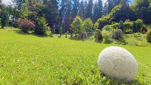 A grassy field with a soccer ball, trees, and a soccer goal. - Apartment in Lapsze Nizne With Balcony (Lapsze Nizne)