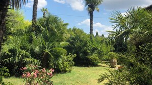 Un exuberante jardín con palmeras, un área con césped y una estructura de piedra.