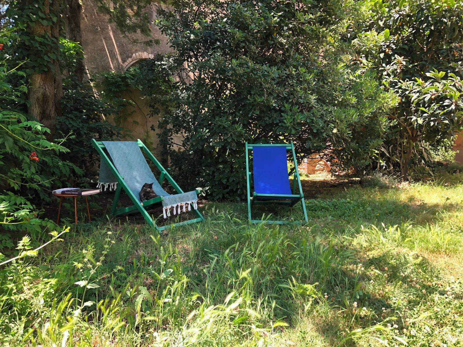 Dos sillas de jardín verdes en un césped, con follaje denso al fondo.