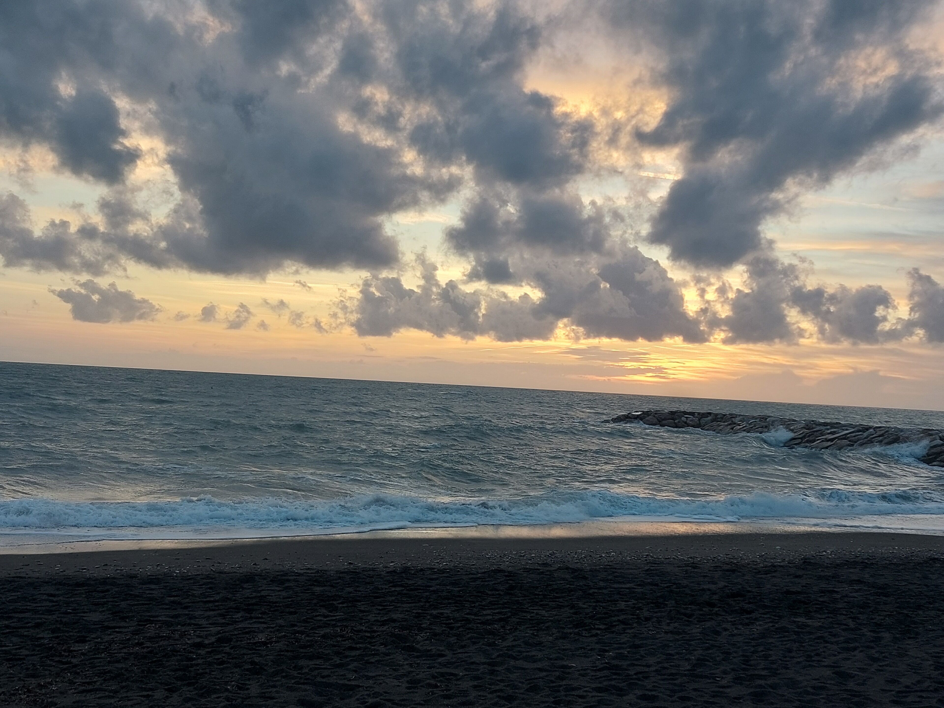 Lettini da mare