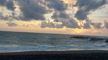 Lettini da mare