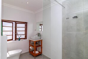 Hair dryer, towels, soap