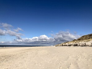 Une vaste plage de sable fin, avec de douces dunes et un ciel bleu limpide.