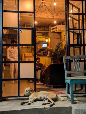 Interior - Bunkyard Hostel (Udaipur)