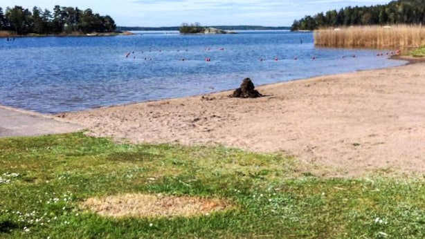 Näkymä järvelle, jossa on hiekkaranta, nurmialueita ja taustalla metsää.