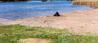 5 Star Holiday Home in Navekvarn