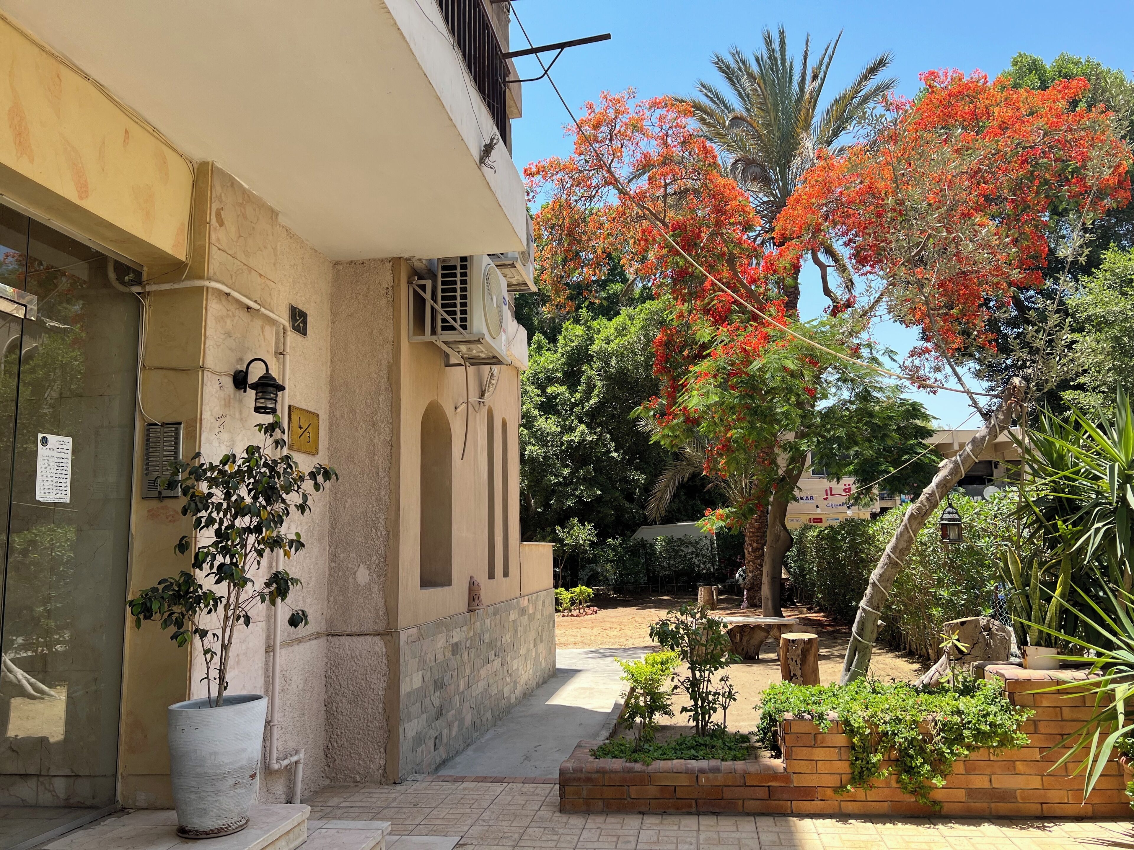 Un bâtiment à la façade beige, avec un pot de fleurs sur la gauche et un arbre aux fleurs rouges en arrière-plan.