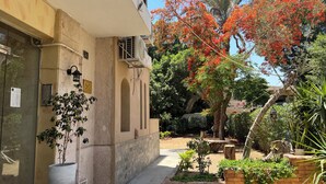 A building with a beige facade, a potted plant on the left, and a tree with red flowers in the background. - Casa de Lama ~ Expat friendly, 2 Bedrooms, A/C (Degla Maadi)