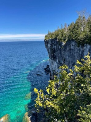 Miscellaneous - Larkwhistle | SAUNA | CHICKENS | Near BEACHES (Wiarton)