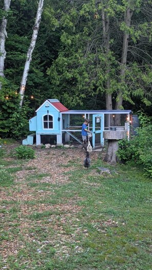 Property grounds - Larkwhistle | SAUNA | CHICKENS | Near BEACHES (Wiarton)