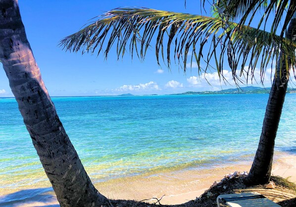A beach scene with clear turquoise water, palm trees, and a distant mountain range.