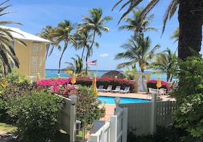 A pool area with lounge chairs, a flag, and palm trees.