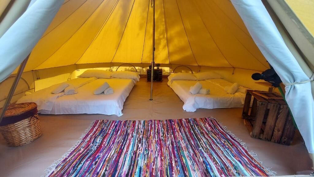 Tent, Patio, Garden View