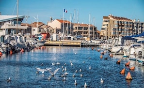 Uma marina com barcos atracados, céu claro e edifícios ao fundo.