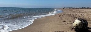 Chaises longues, serviettes de plage