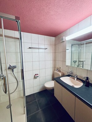 Shower, hair dryer, towels, soap - Apartment Anouk Centrally located, cozy family apartment with sunny terrace (Lenk)