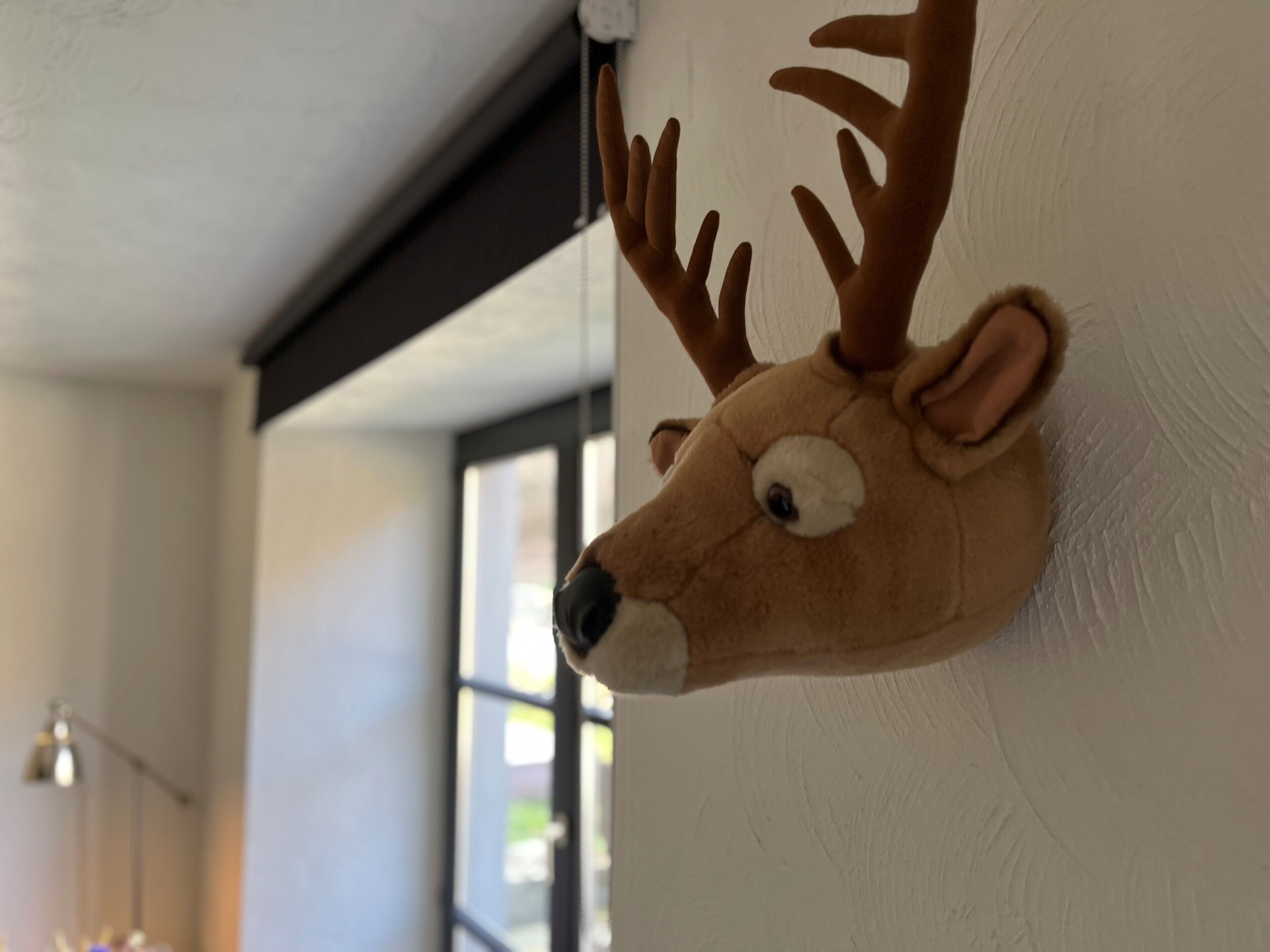 A stuffed deer head mounted on a wall.